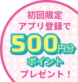 プレゼント 500pt